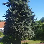 Apartman Lieblingsgast *