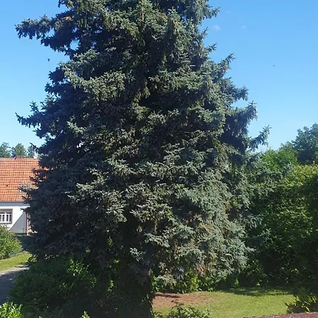 Lägenhet Lieblingsgast *